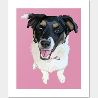 Cute Canine Border Collie Mix Posters and Art